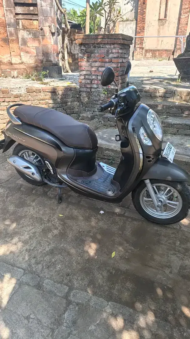 Honda scoopy 2023 - Vehicles in Bali