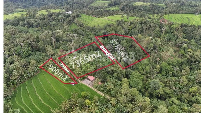 Jual Tanah Kebun View Sawah Los Sungai Ditabanan Bali - Bali in Bali
