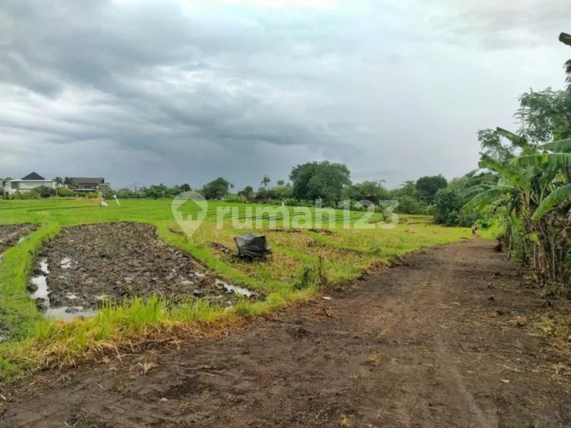 Boutique Tourism Land Near Munggu & Cemagi Beach - Bali in Bali