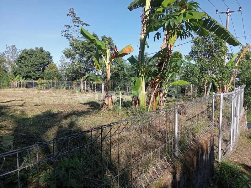 Dijual Tanah Shm Murah 760 M2 Di Wanagiri Buleleng Bali - Bali in Bali