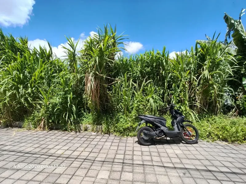 Di Jual Tanah 5 Are - Siap Bangun - Bali in Bali