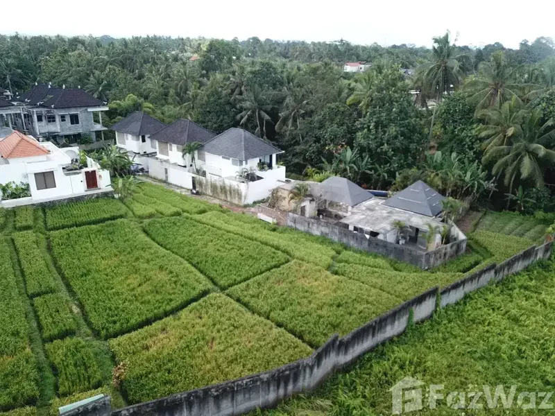 Land for sale in Ubud, Bali - Real Estate in Bali