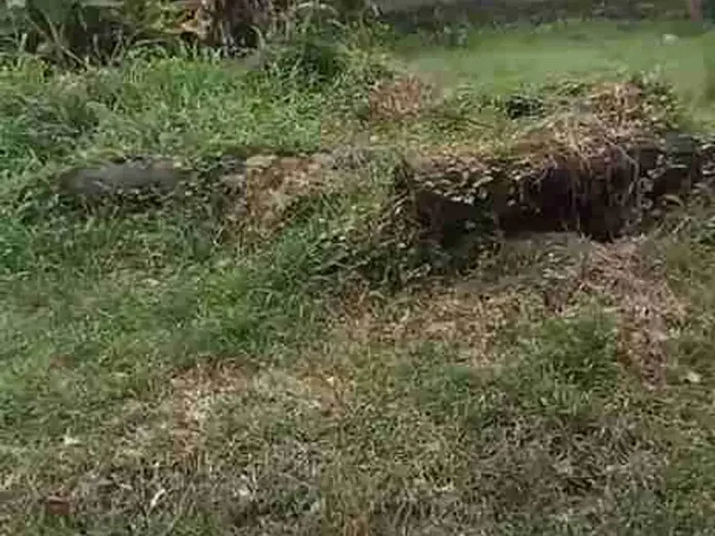 Termurah tanah di by pass ida bagus mantra samping taman safari bali - Real Estate in Bali