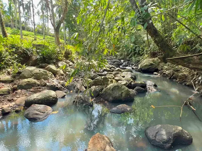 jual tanah Los sungai cantik di kawasan villa di desa manikyang tabanan bali. - Real Estate in Bali