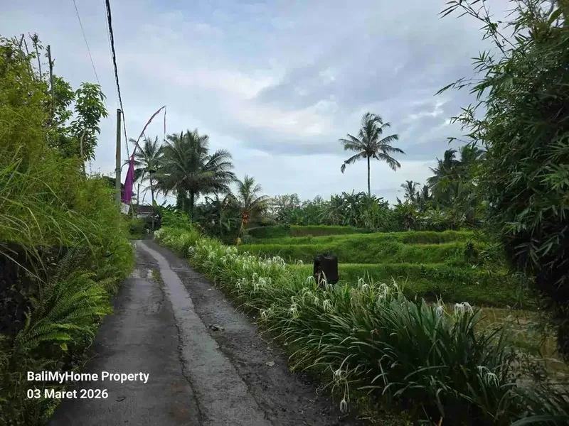 tanah dijual murah di payangan Ubud Gianyar - Bali in Bali