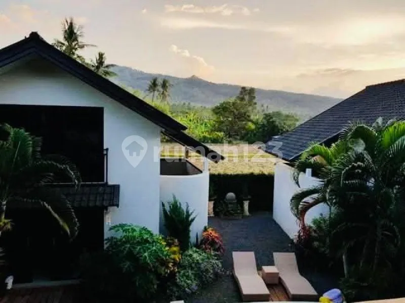Peaceful 3 Bedroom Villa In Lovina With Beautiful Natural Views - Real Estate in Bali