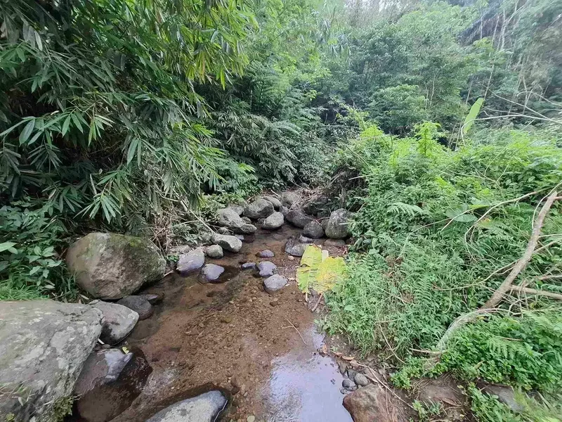 dijual tanah kebun dengan view sawah dan los sungai kecil yang sangat indah dan strategis di ketinggian 600mdpl - Bali in Bali