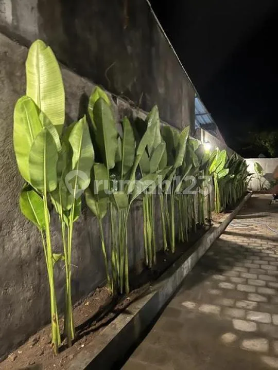 Zebua bali residence - Real Estate in Bali