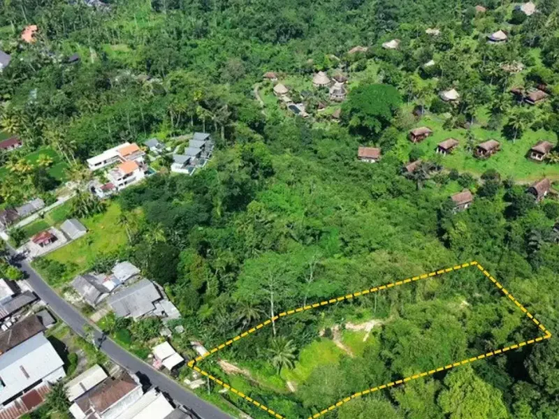 Tanah Lokasi Strategis Sebatu Ubud - Real Estate in Bali