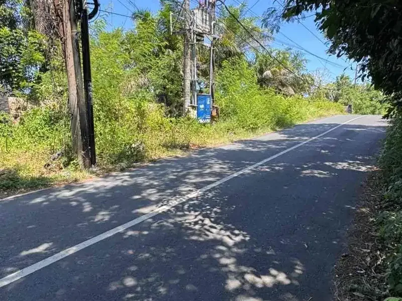 TANAH BONUS BANGUNAN - 1 Hektar di Jln Utama Belimbing Sari Pecatu - Real Estate in Bali
