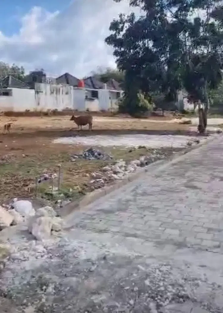 Tanah Premium di Lingkungan Tenang lokasi Ungasan - Real Estate in Bali