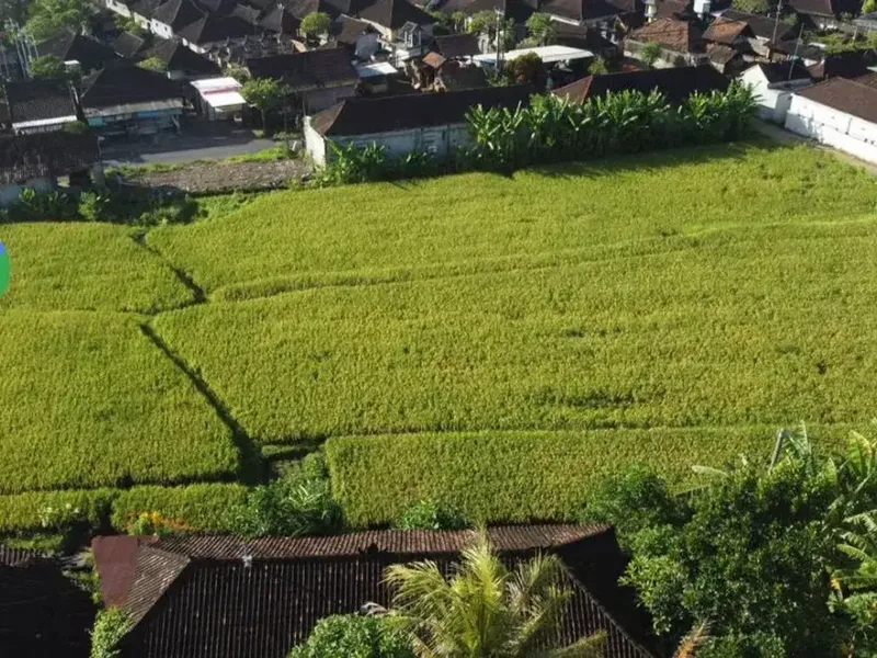 Dijual Tanah Pinggir Jalan Utama Kediri Tabanan - Super Strategis - Bali in Bali