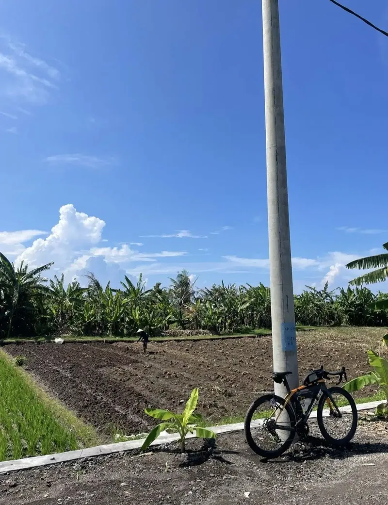 Tanah Di Tibubiu,Kerambitan,Tabanan Bali - Real Estate in Bali
