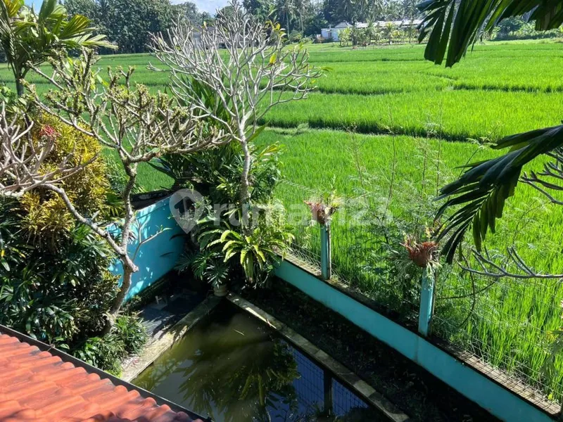 Vila Buc 2.6M Nettd Dekat Bebek Tepi Sawah - Real Estate in Bali