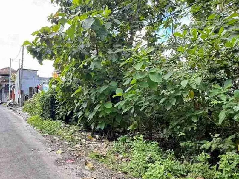Dijual Tanah 200m2 di Kutuh Cocok Untuk Villa - Bali in Bali