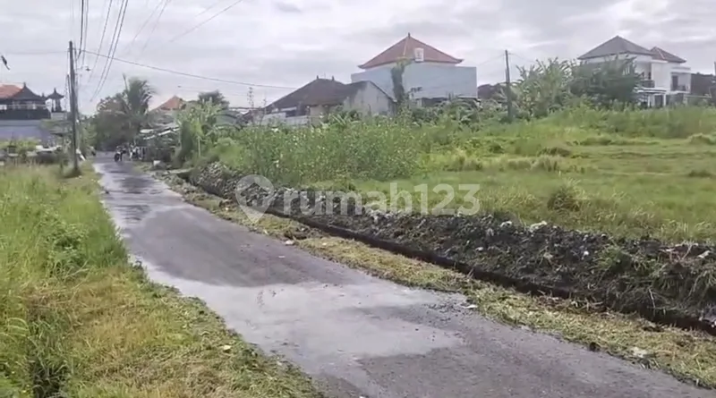 Dijual Sebidang Tanah Lokasi Jalan Cemp. Putih Dauh Peken Tabanan Dekat Rs Kasih Ibu Tabanan - Bali in Bali