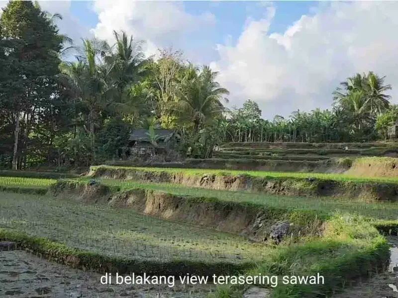 Tanah Komersial Langka Dekat Capella Ubud View Sawah - Real Estate in Bali