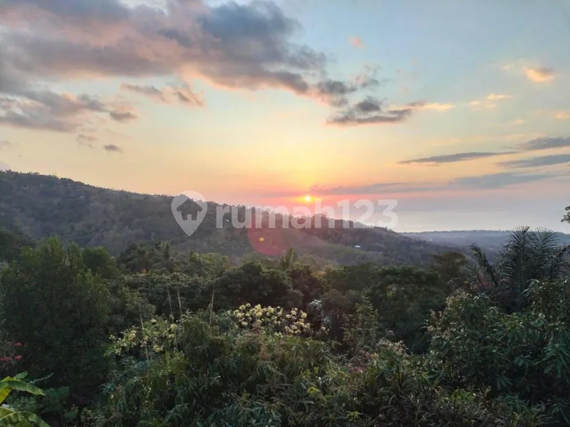 Villa Luas View Sunrise Dekat Pantai Ada Pool Furnished di Lovina - Real Estate in Bali
