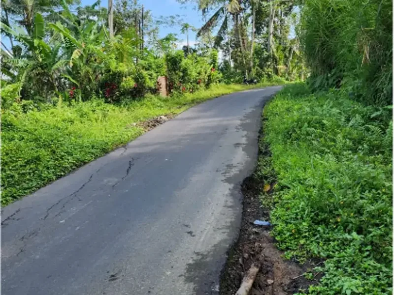Tanah 6 Are di Tegalalang Ubud - Real Estate in Bali