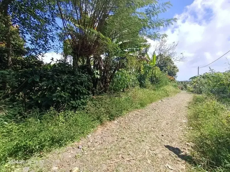 Tanah view lembah di Wanagiri dekat Munduk dan Bedugul - Real Estate in Bali