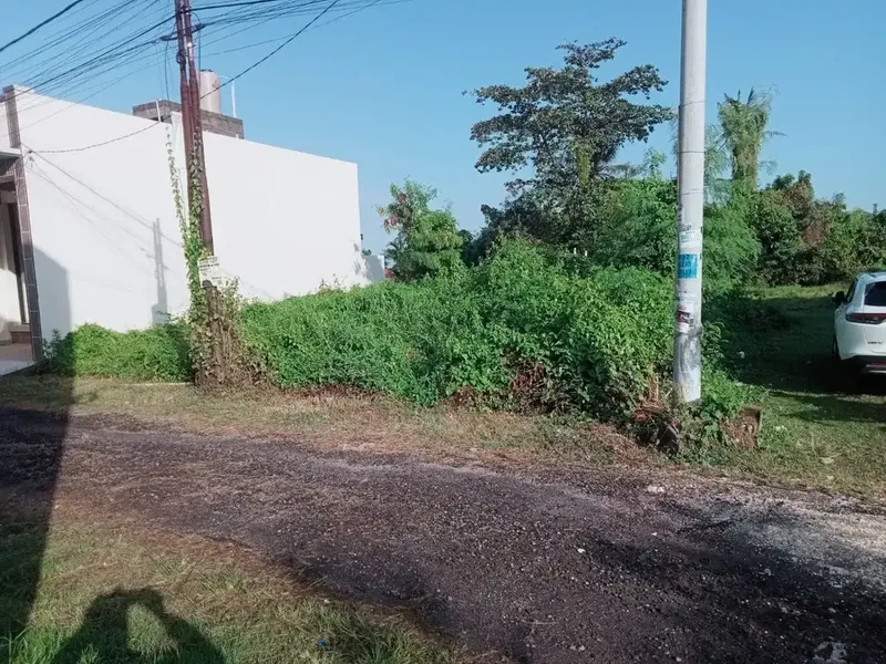 Land For Sale Munggu Pemaron - Bali in Bali