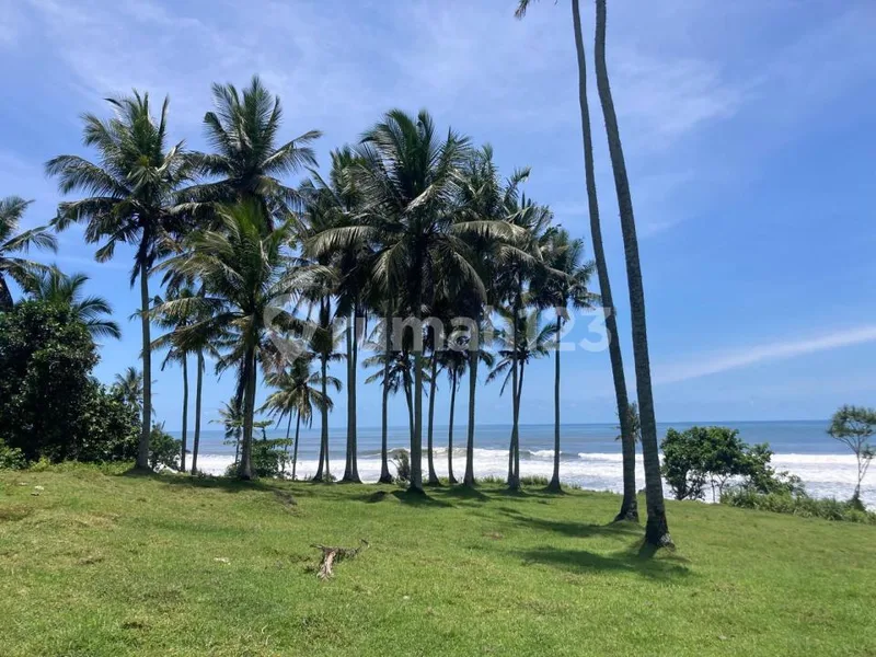 Tanah Freehold Beachfront 7.879 M² - Zona Pariwisata Pantai Balian - Real Estate in Bali