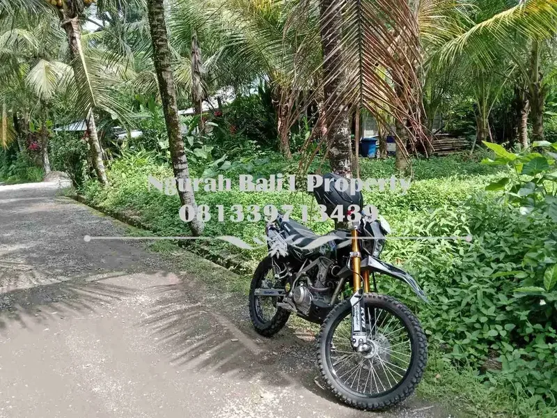 Dijual Tanah Murah Luas 4 Are Kawasan Villa di Ubud Pejeng - Real Estate in Bali