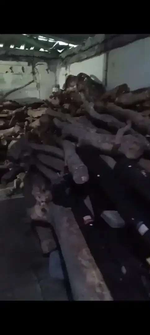 Kayu cendana NTT - Other in Bali