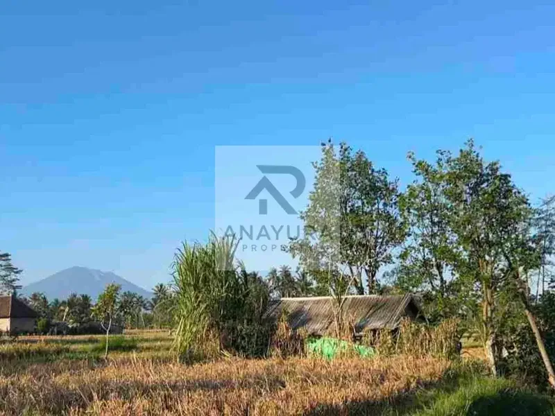 Tanah Pejeng Kangin Dekat Ubud - Real Estate in Bali