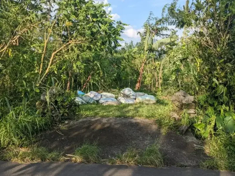 TANAH LOKASI STRATEGIS DI JATILUWIH TABANAN - Bali in Bali