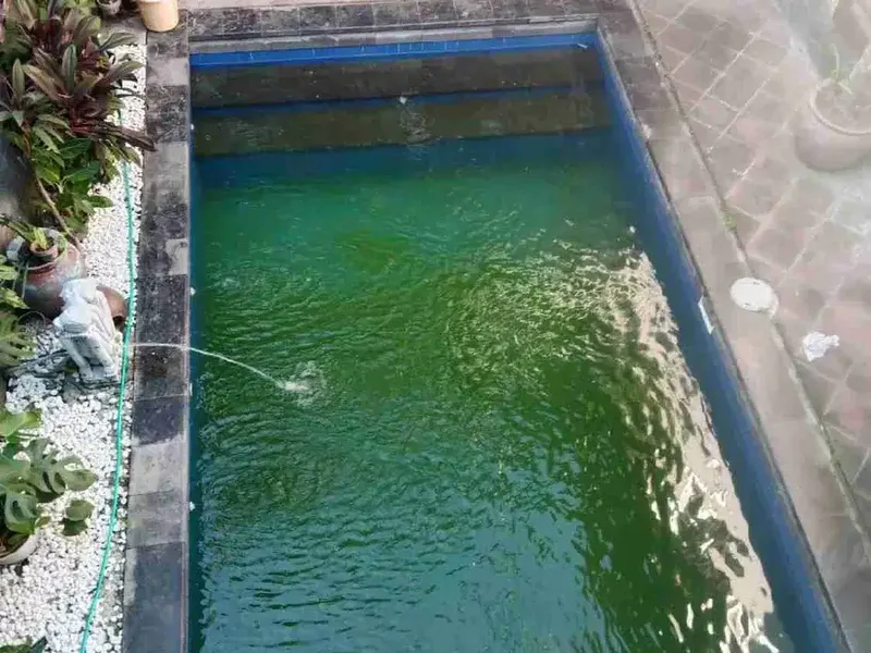 di jual villa di jalan utama sedap malam kesiman sanur - Real Estate in Bali