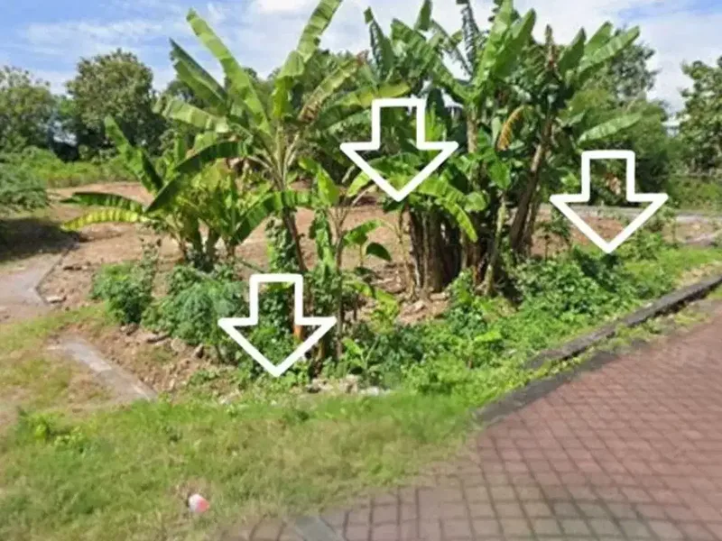 TANAH STRATEGIS DI TAMAN SARI NUSA DUA BADUNG - Bali in Bali