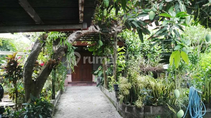 Tanah Luas 1.400 M2, View Laut, di Berawa, Canggu, Bali - Real Estate in Bali