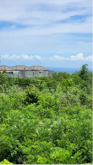 Tanah sewa view laut di ungasan - Real Estate in Bali