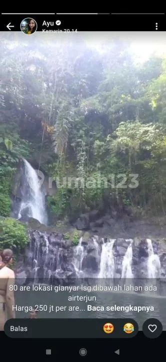 Tanah View Sungai Hutan Airterjun Harga Murah - Real Estate in Bali