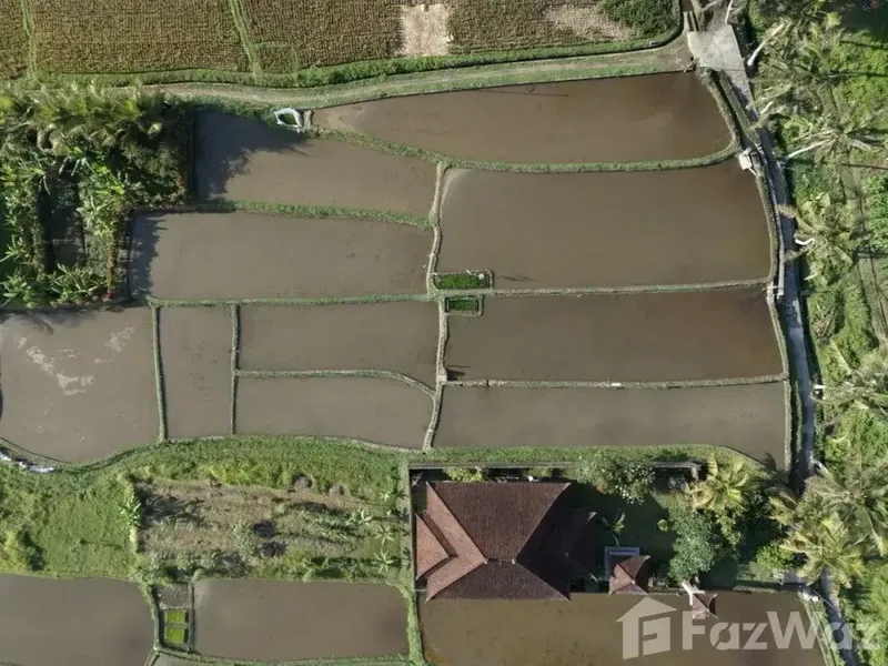 Land for sale in Pejeng, Bali - Bali in Bali