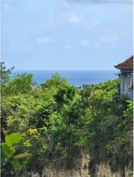 Tanah Murah 1 Hektar Dekat Pantai Ungasan - Real Estate in Bali