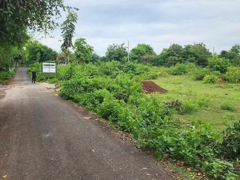 For sale tanah premium  14 Are di balangan Pink Zone - 5 Menit ke Pantai Balangan - Bali in Bali