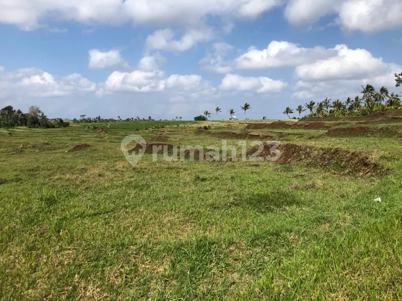 Tanah di Warnasari Jembrana Bali Untuk Perkebunan Dan Peternakan - Real Estate in Bali