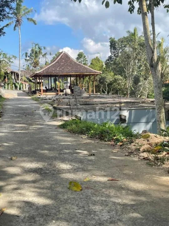 Jual Tanah Bonus 6 Villa Siap Huni Gianyar Ubud - Real Estate in Bali