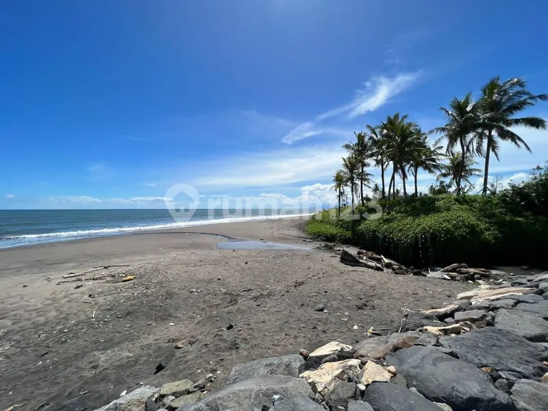 Dijual Cepat Tanah Premium Los Pantai Tabanan, Bali - Bali in Bali