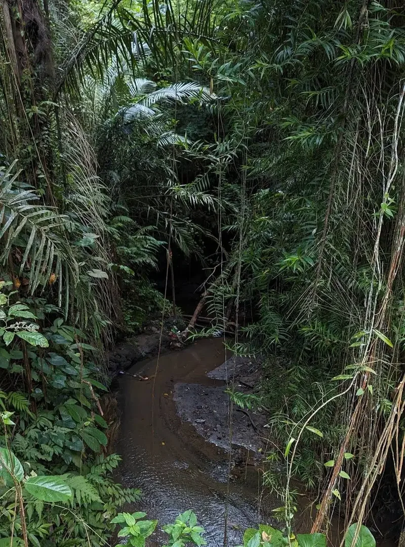 Tanah View Jungle di Bresela dekat Ubud Bali - Real Estate in Bali