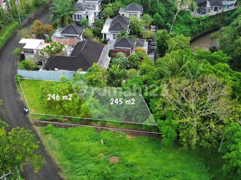 Tanah Dalam Kawasan Elite - Greenlot Munggu - Real Estate in Bali