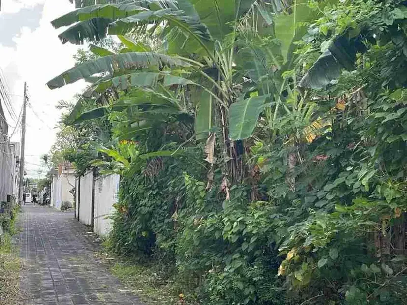 DIJUAL / FREEHOLD : Tanah Kecil Premium, 3,15 Are, Jl. Pantai Batu Belig Badung, Bali - Real Estate in Bali