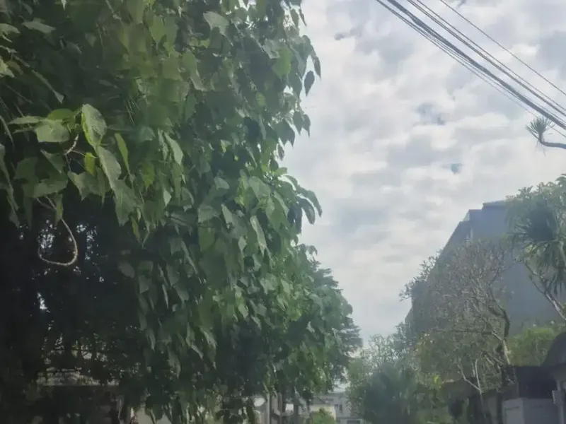 Dijual Tanah 10 are di Jalan Dewi Saraswati - Bali in Bali