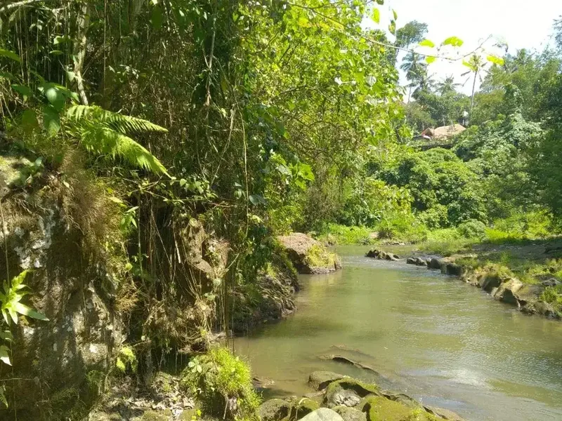 Freehold - 1.500 sqm Riverfront land for sale in south Ubud - Real Estate in Bali