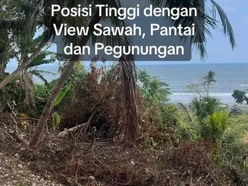 SALE 20,5 Are 100 Meter dari Balian Beach - Real Estate in Bali