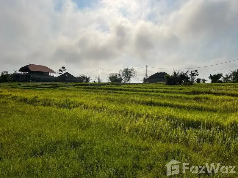 Land for sale in Cemagi, Bali - Real Estate in Bali