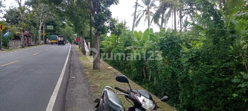 Tanah di Jalan Raya Gilimanuk - Denpasar desa Tuwed - Real Estate in Bali