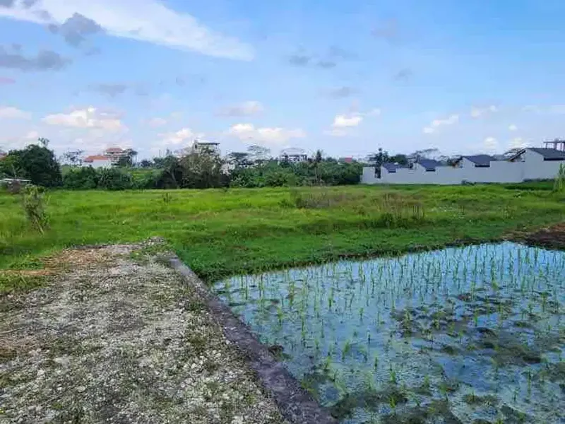 Dijual Tanah Murah di kawasan Pantai Seseh - Real Estate in Bali